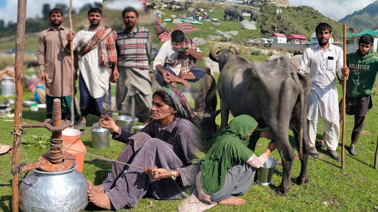 Asa Khubsurat 🥰Culture Gujjar Bakarawal Bahaiyon Kay Pass Hai || ❤️Nomads Life In India 