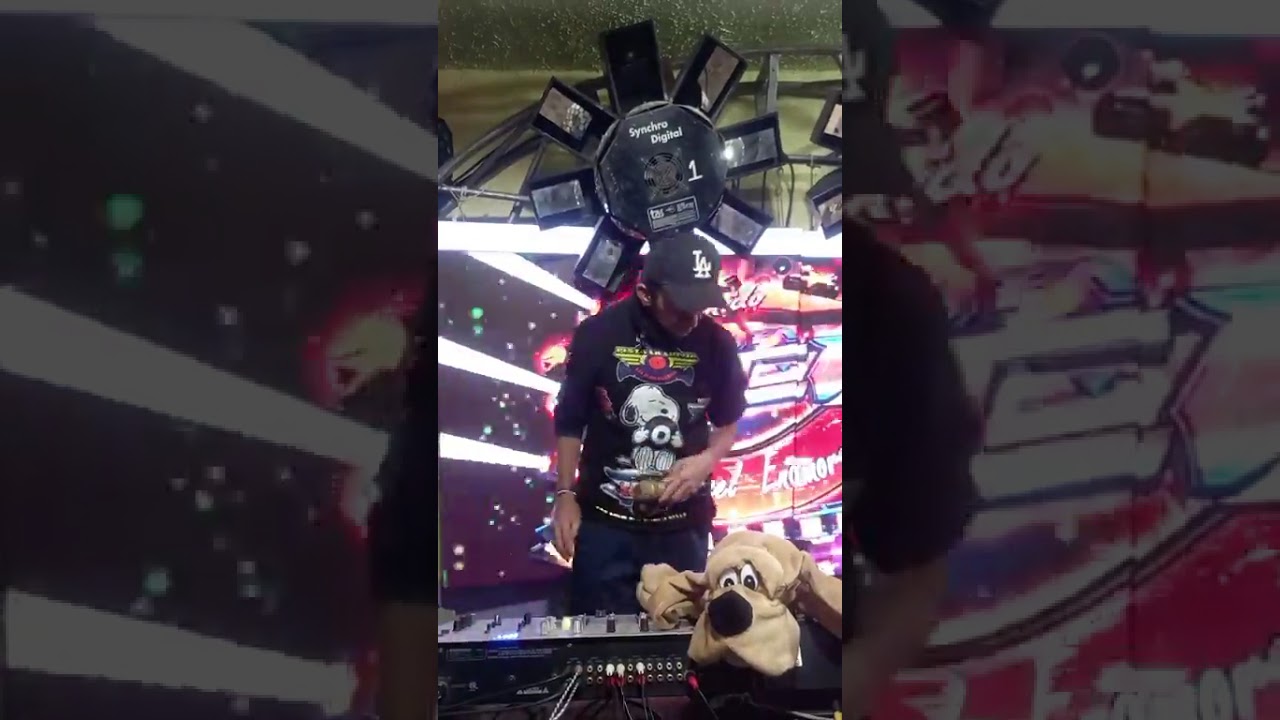 ESPECIAL LO MEJOR DE 1989 RECODANDO LA EPOCA DORADA