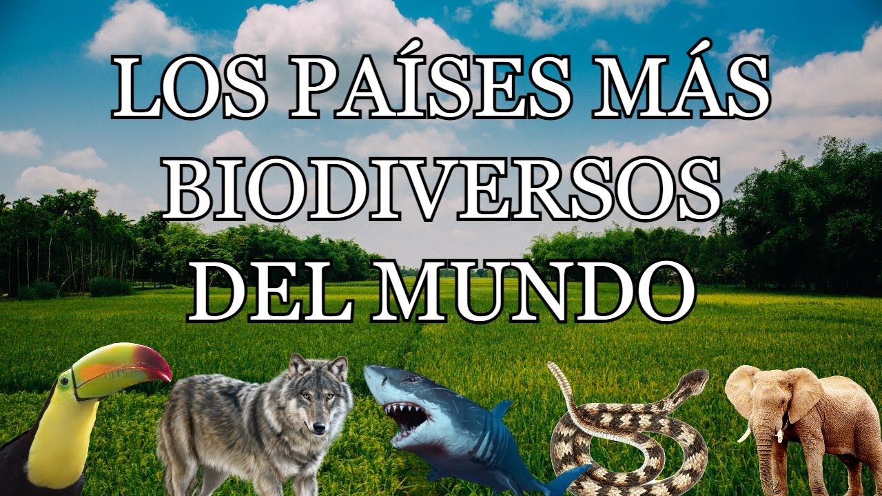 10 PA&Iacute;SES con MAYOR BIODIVERSIDAD del MUNDO 🌻🐯🌎