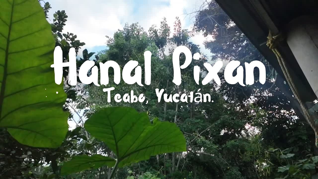 El sabor de la tierra: El pib del Hanal Pixán | Teabo, Yucatán