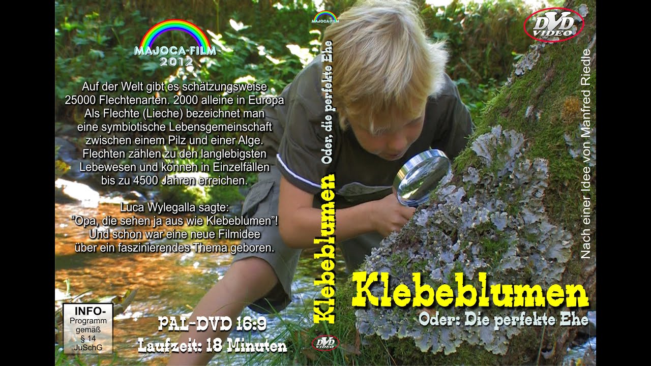 KLEBEBLUMEN