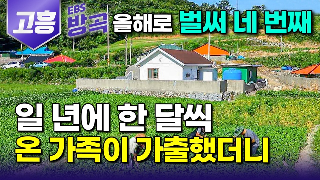 [전남 고흥] 