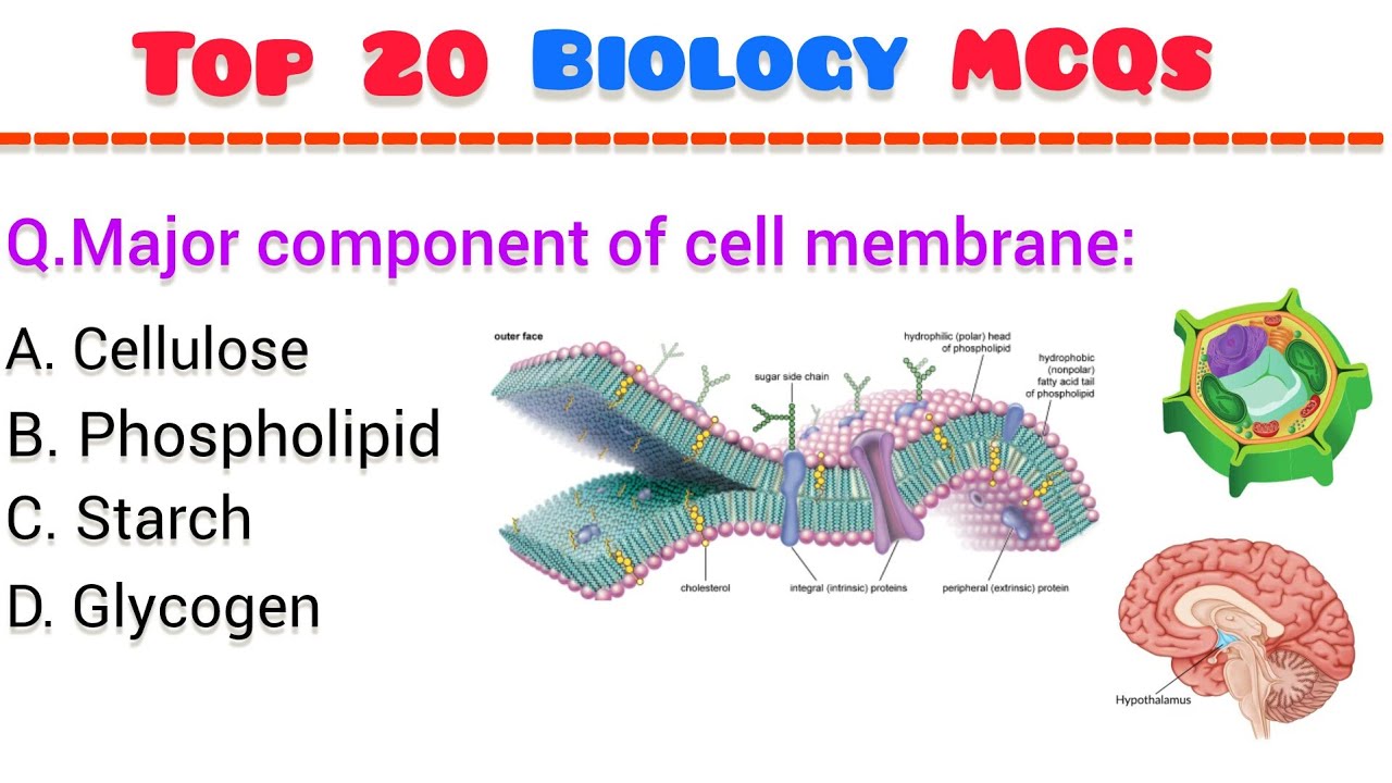Top 20 Biology MCQ| |Biology Mcqs 2026|Biology MCQ|biology mcq for all competitive exam#biologymcqs