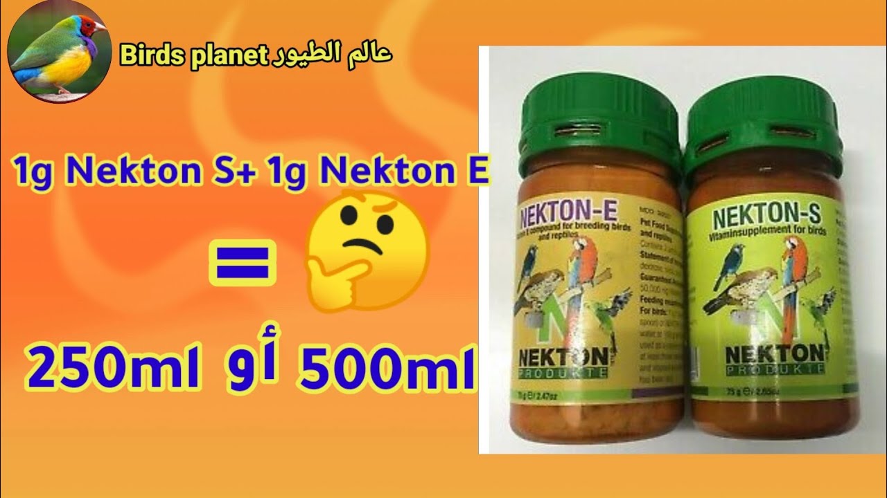 و أخيرا قطعنا الشك باليقين || نستعملوا 500ml أو 250ml لنيكتون E و S