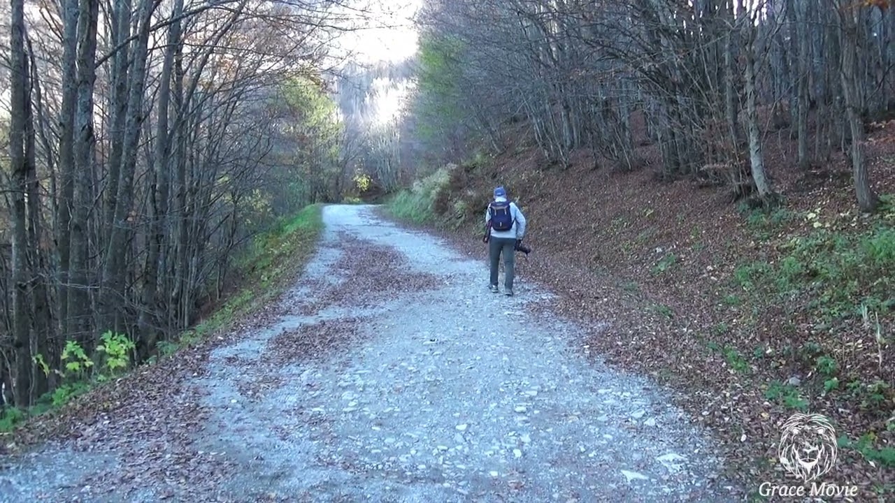 Emilia Romagna- Monte Ventasso- Lago Calamone -HD