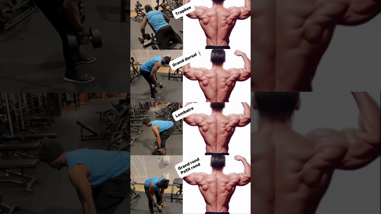 Muscler son dos qu&rsquo;avec des halt&egrave;res ￼