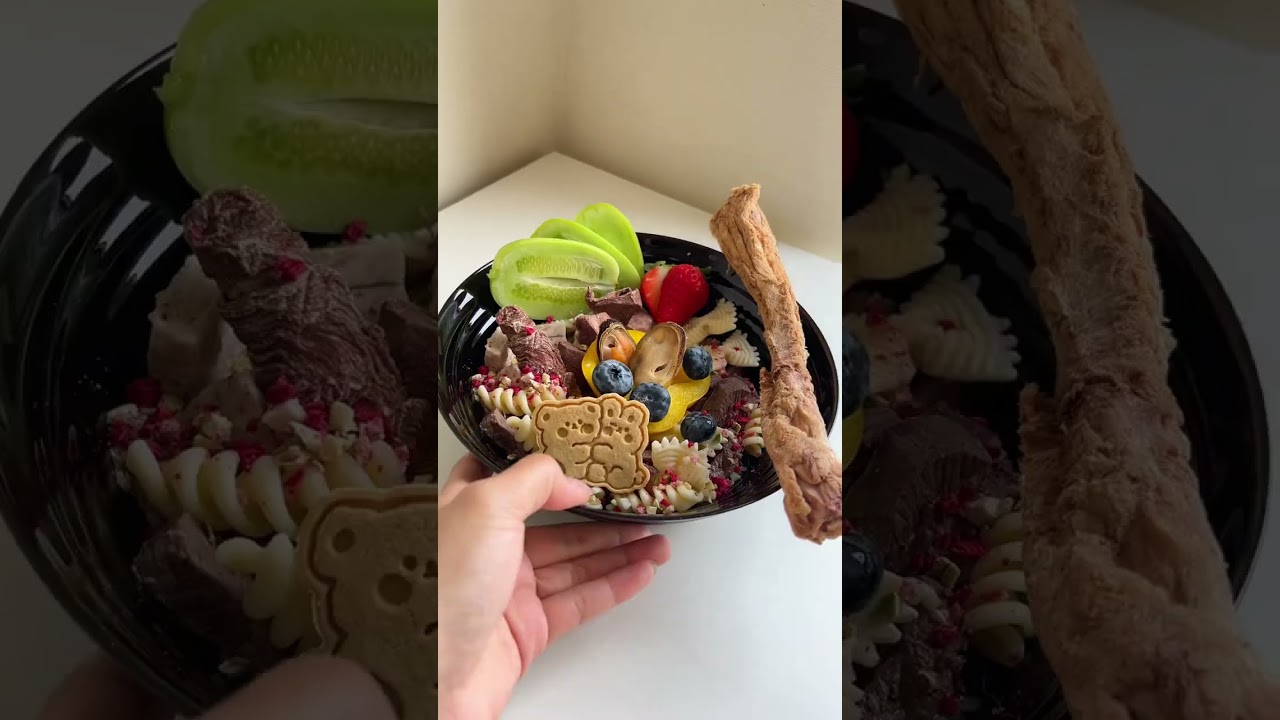给8只猫狗做饭·vlog #配粮 #自制狗饭 #喂猫日记 #宠物配餐 #万物可爱计划