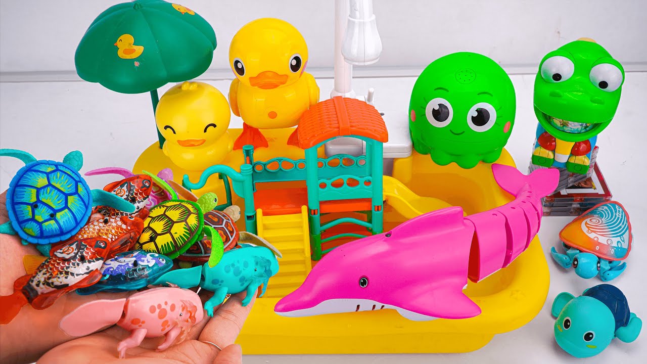 [🐟toy asmr 🐟] Zuru Robo Fish & Robo Turtle Swimming Aquarium Playset ASMR | Satisfying With Unboxing