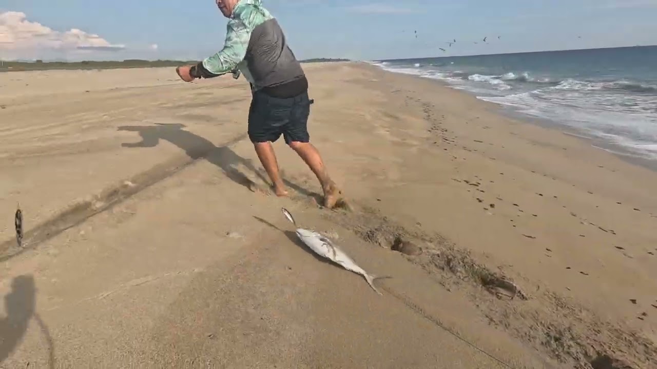 Pescando jureles 