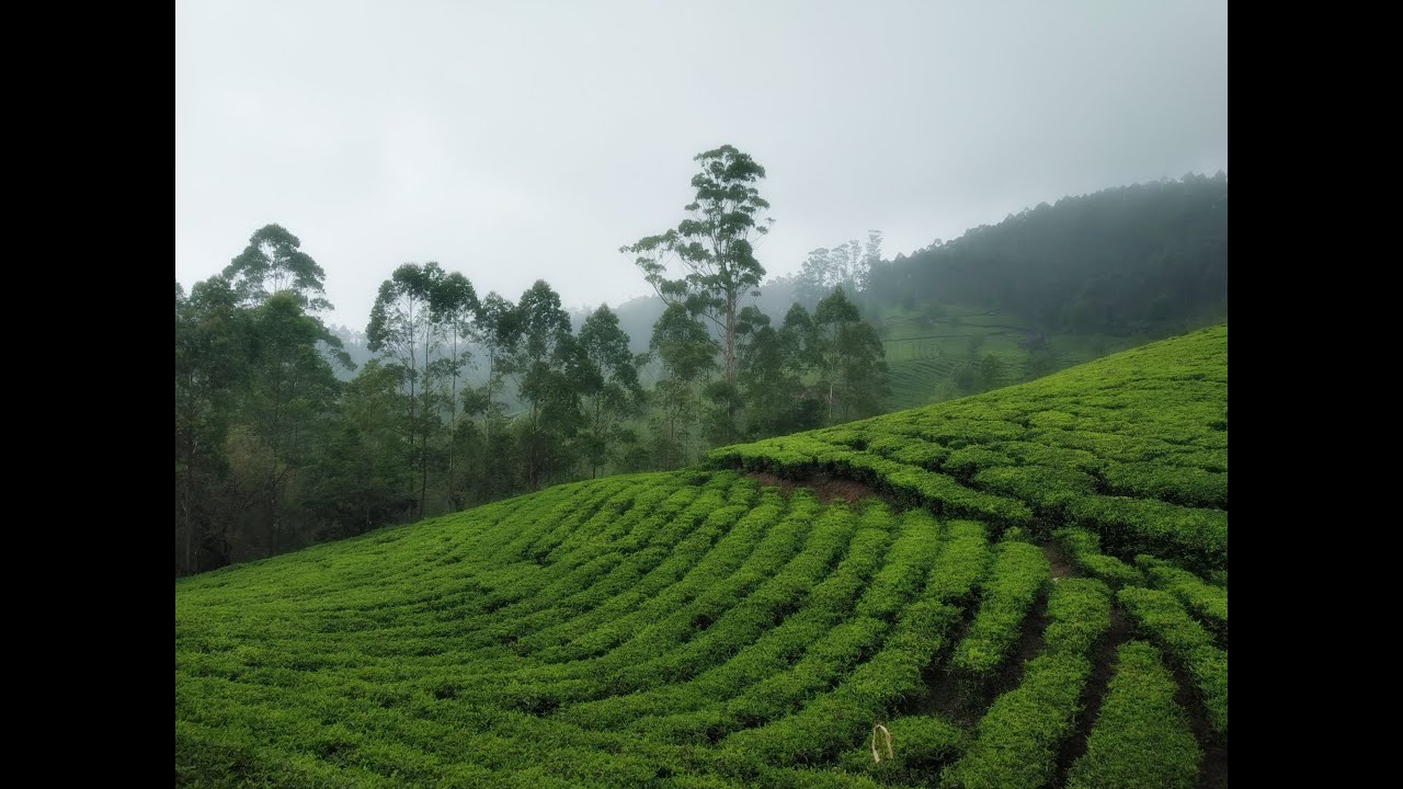 Munnar