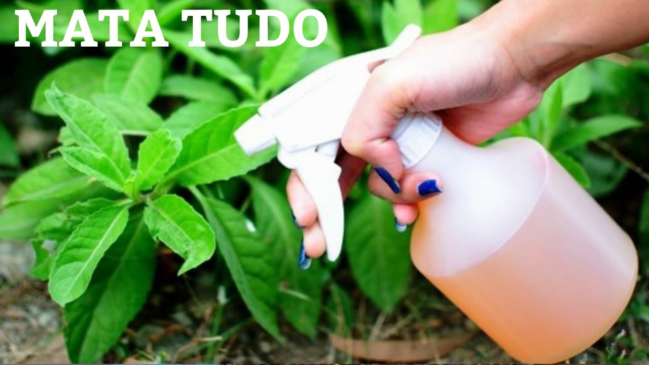 Nunca mais tenha praga nas plantas ( pulgão,mosca,nilhas)