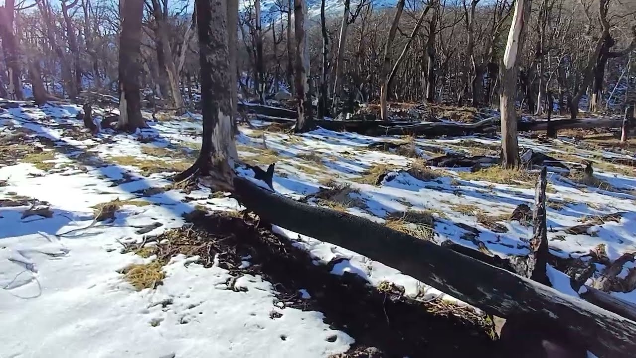 ¿Habra una ultima vez que veamos #nieve en la TIERRA? #trekking #invierno 2024 #patagonia #argentina