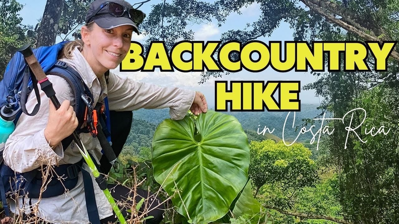 AMAZING Plant Hike in Playa Hermosa, Costa Rica