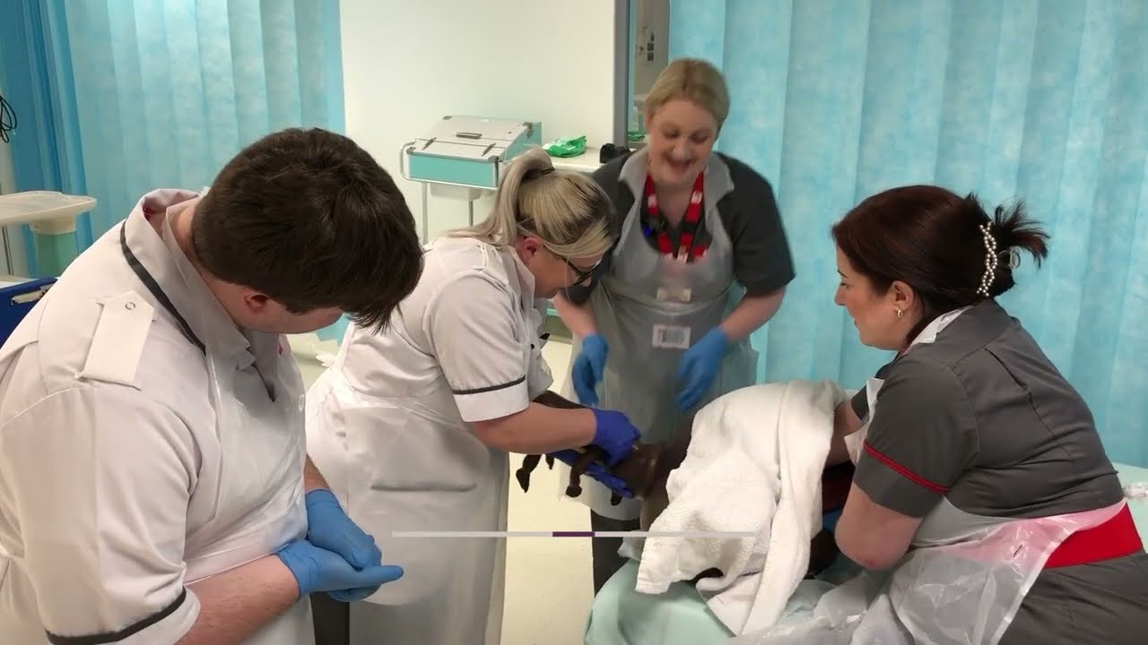 Midwifery - Clinical simulations