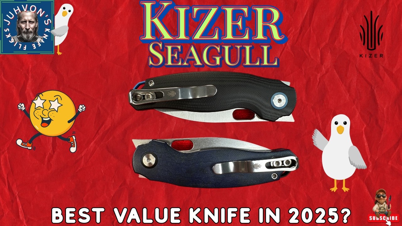 Best Budget Knife of 2025? | Kizer Seagull Review (Under $80!)!