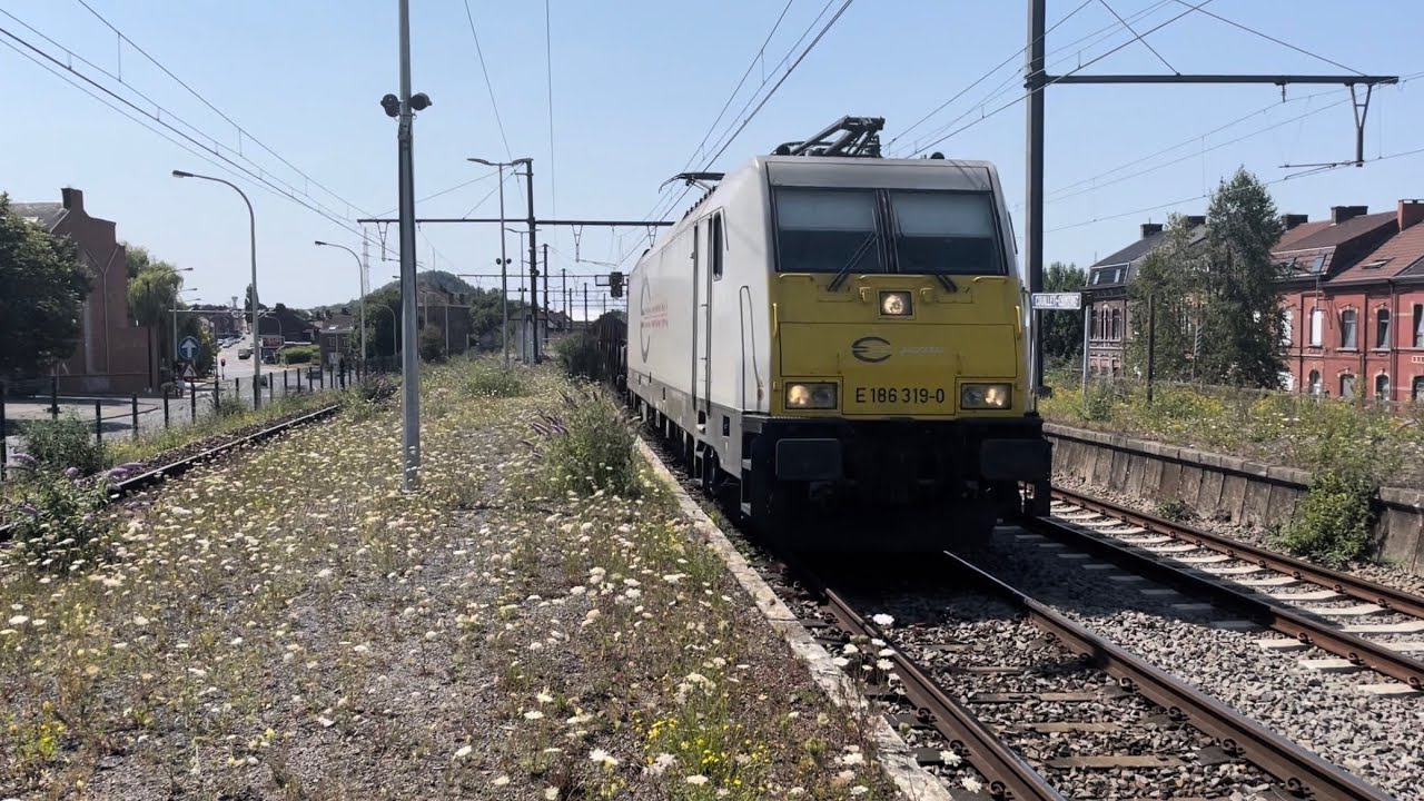 Trains à Couillet - 18/07/22