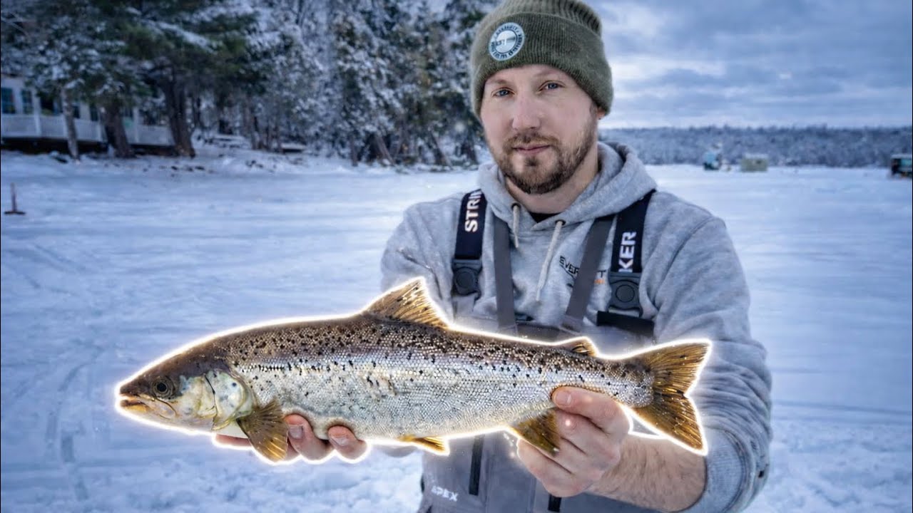 Landlocked Salmon - Ice Fishing From Camp!