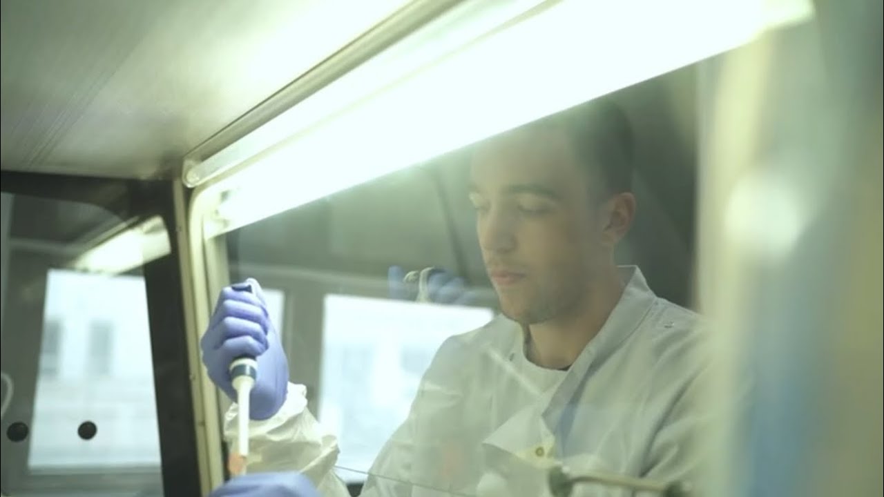 Nuestro equipo de investigación