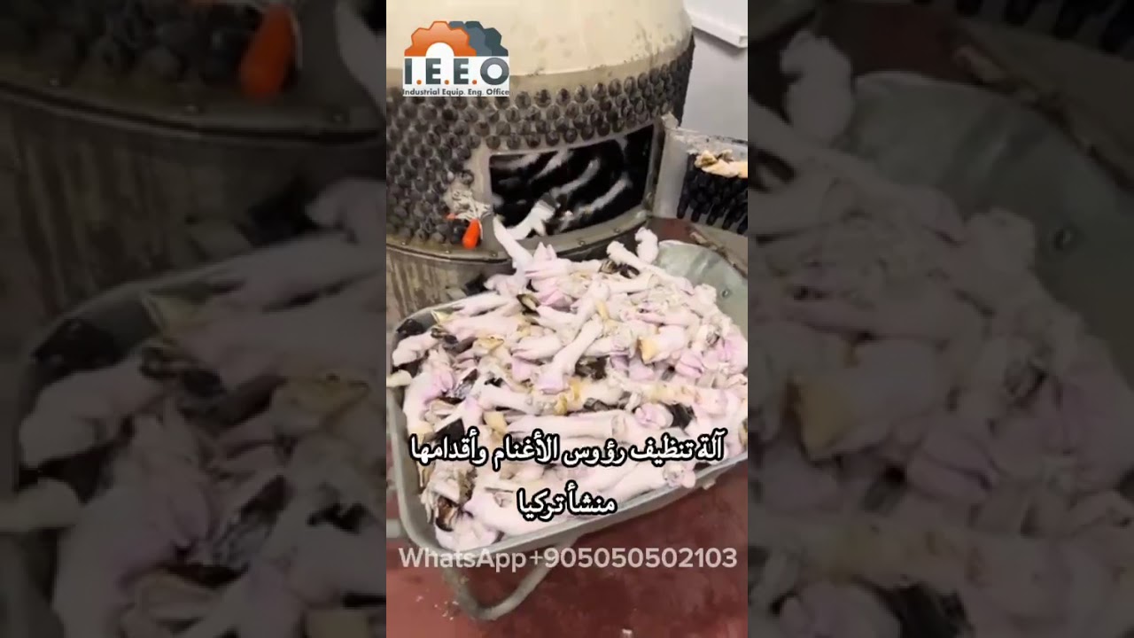 آلة تنظيف رؤوس الأغنام وآقدامها