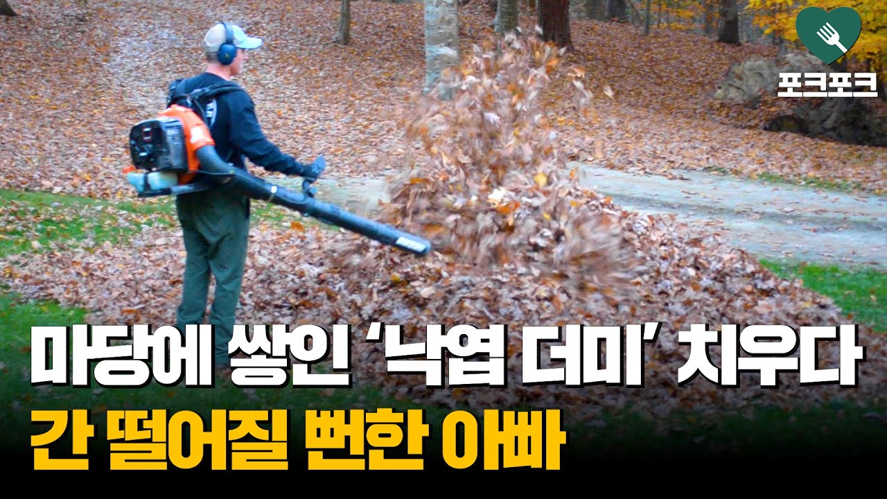 마당에 쌓인 '낙엽 더미' 치우다 '간' 떨어질 뻔한 아빠