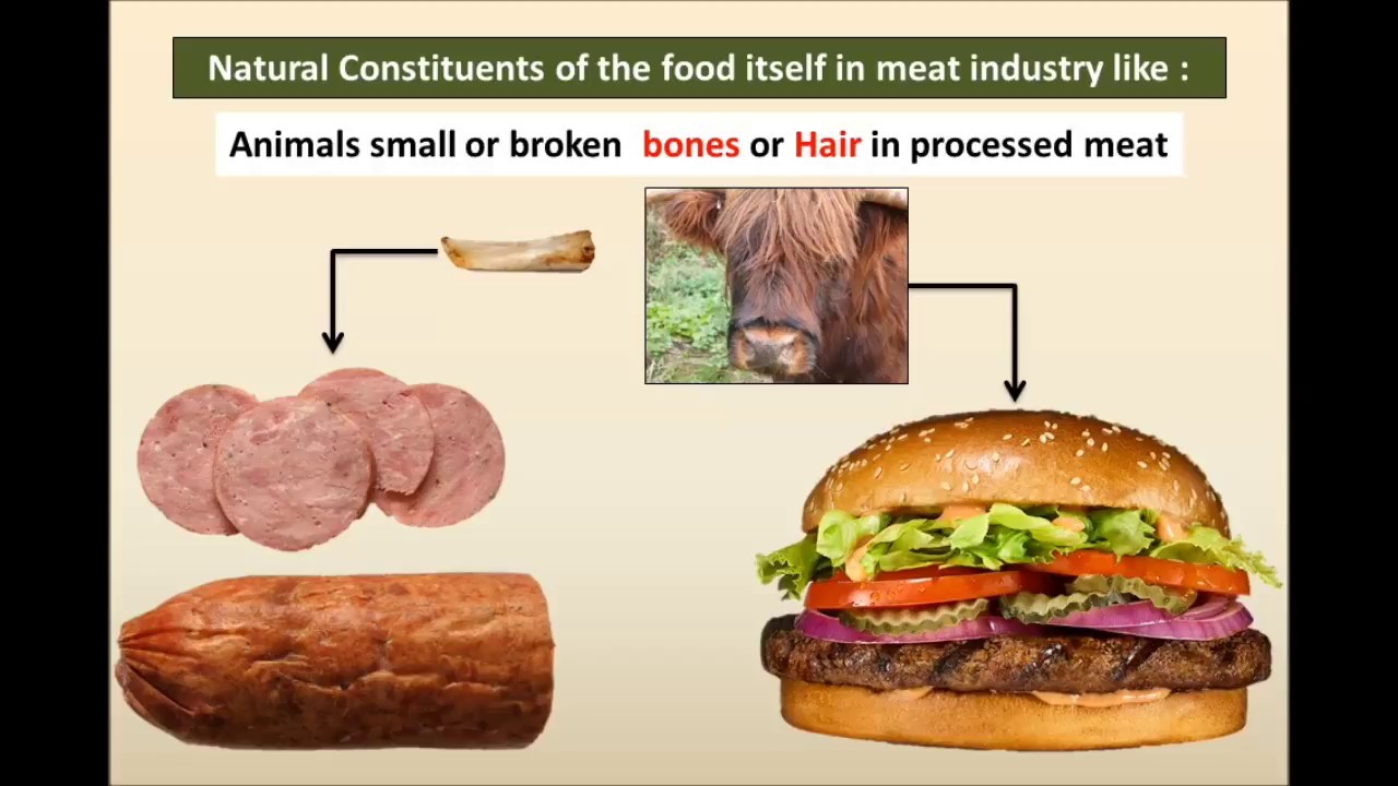 what is food Physical Hazard  food Part 1