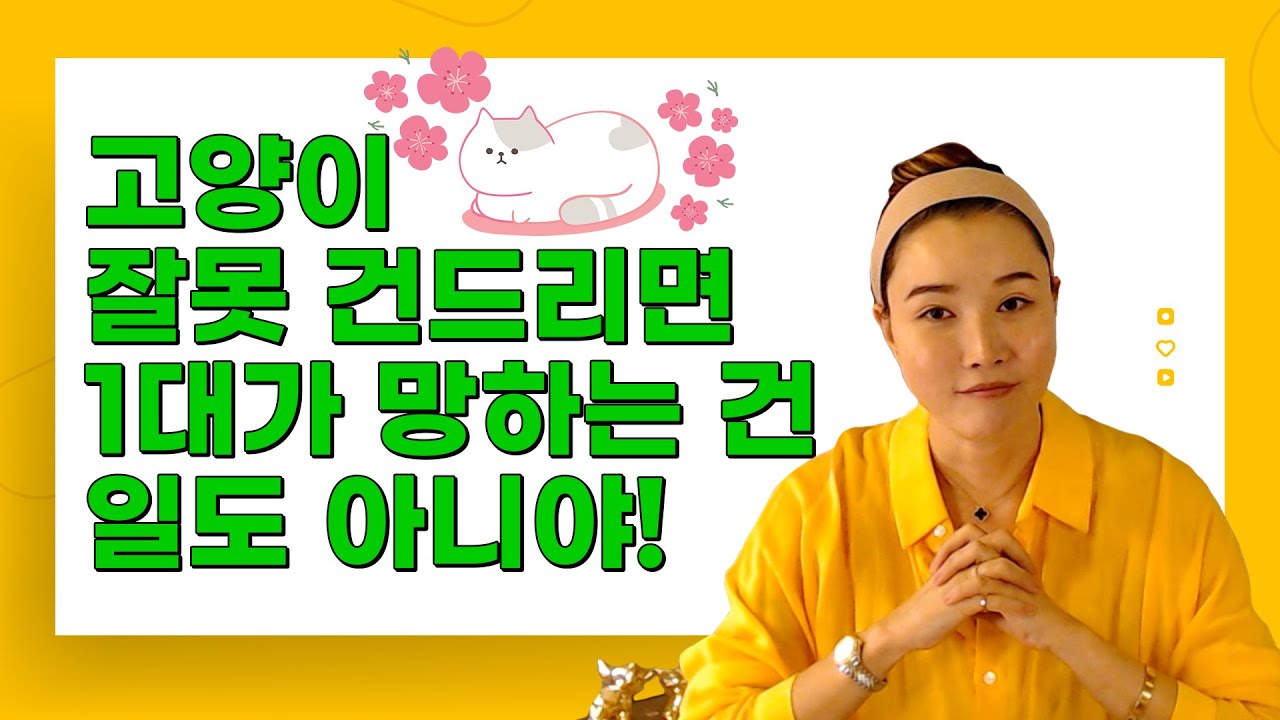 나의 반려동물 (강아지, 고양이 등)과 함께 행복하게 사는 방법. 캣맘들을 위한 꿀팁정보
