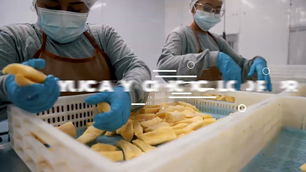 Producción de frutas, pulpas y hortalizas congeladas