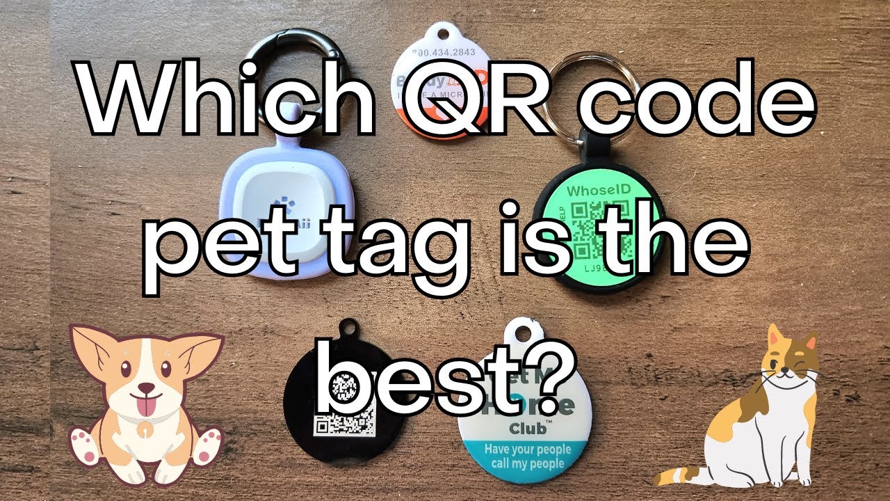 Какой QR-код для домашних животных лучше всего?