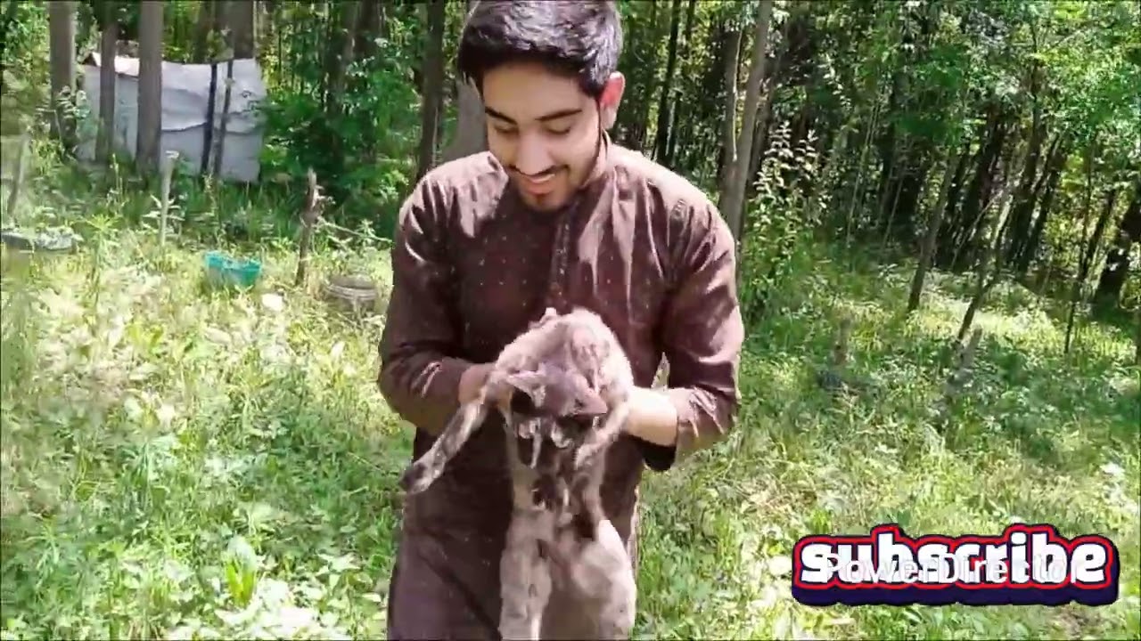 My vlog At kashmir Rawlakot/Harvesting of Garlic and Onion from our farm#kokab family vlog #family 