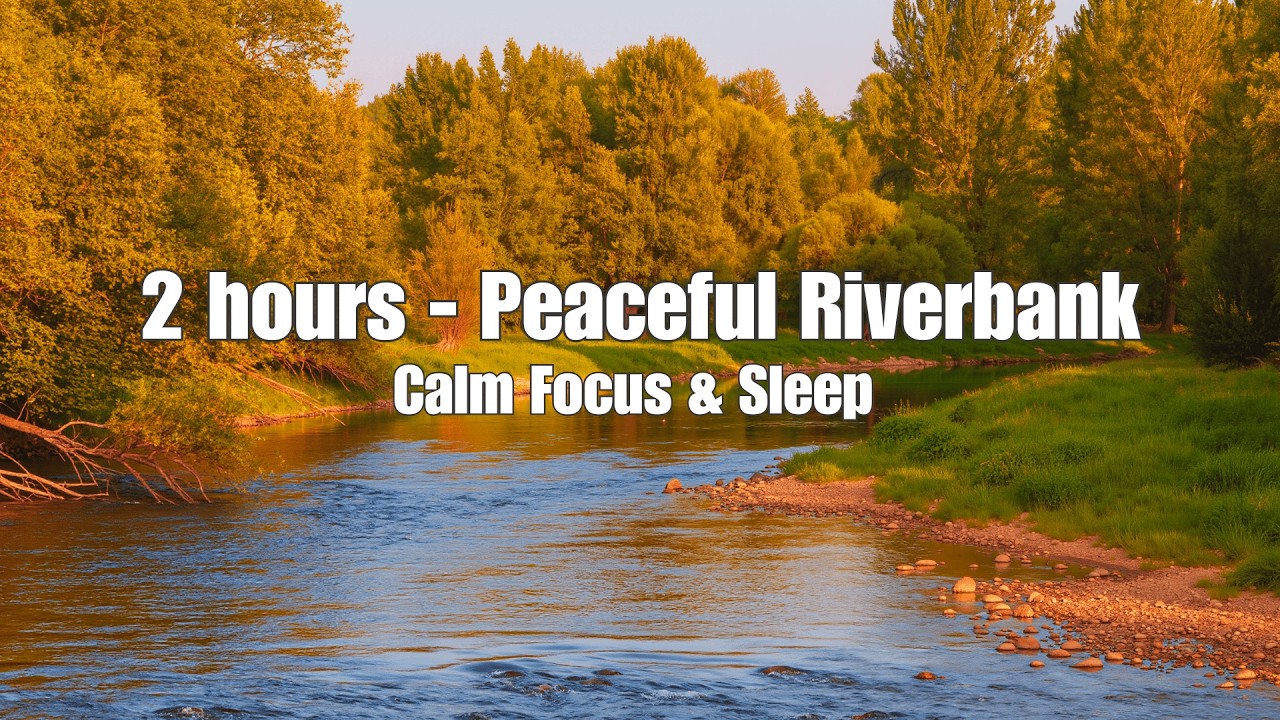 Serene Riverbank Flow | Gentle Violin Music 432Hz for Calm Focus & Sleep 🌿🌊 #focus #sleep