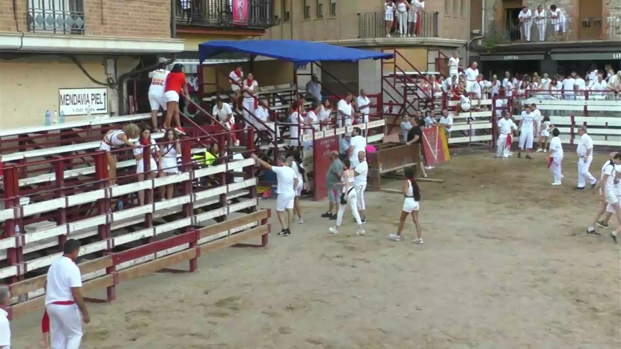 Mendavia, Fiestas 2023, Encierro Tarde 25/08/23