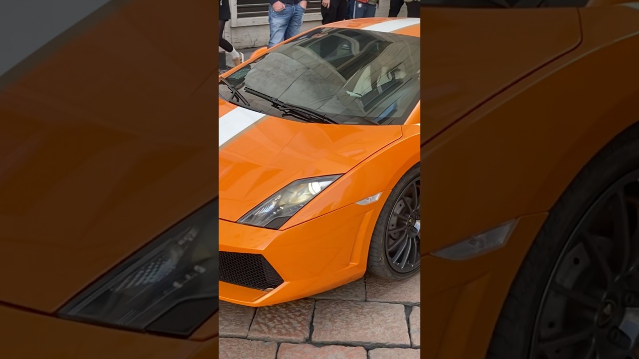 Lamborghini Gallardo Balboni #lamborghinigallardo #lamborghini #gallardo #balboni #lambo #supercar