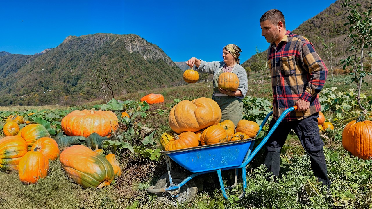 Pilaf in a Giant Record-Breaking Pumpkin! Azerbaijani Village Recipe