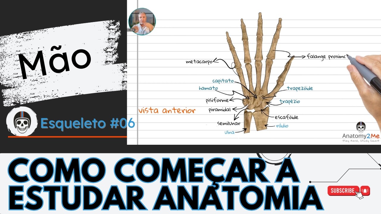 ESQUELETO HUMANO #06 - Anatomia da Mão: Você nunca mais vai esquecer a ordem dos ossos do carpo!