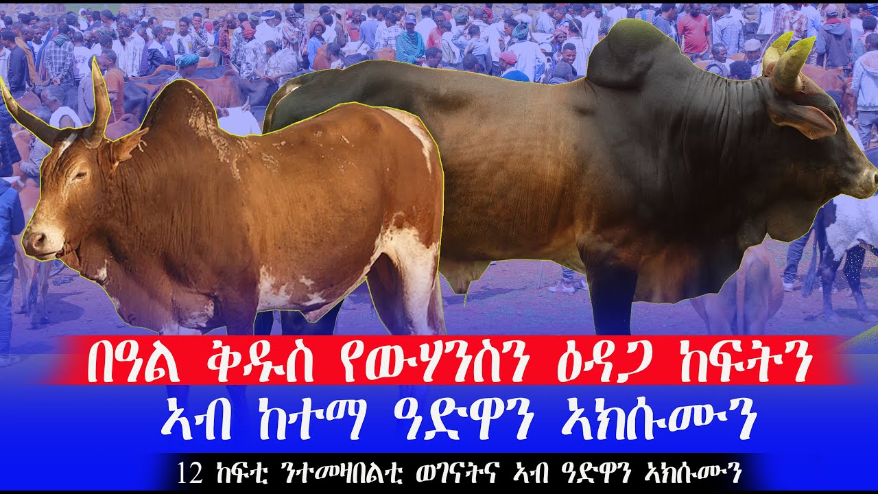 ክባር ዕዳጋ ሎሚ  ዕዳጋ ከፍትን በዓል ቅዱስ የውሃንስን  ኣብ ከተማ ኣክሱሙን ከተማ ዓድዋን 12 ከፍቲ ንተመዛበልቲ ወገናትና