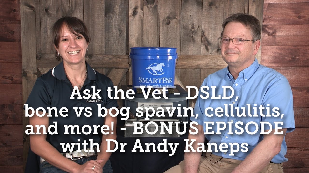 Ask the Vet - DSLD, bone vs bog spavin, cellulitis, and more! - BONUS EPISODE with Dr Andy Kaneps