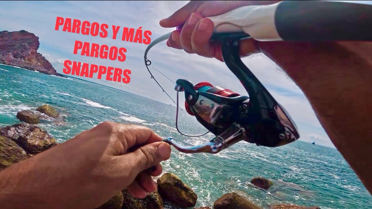 UNO TRAS OTRO 😱🔥|| Estuvimos On fire|| cardumen de PARGOS ‼️
