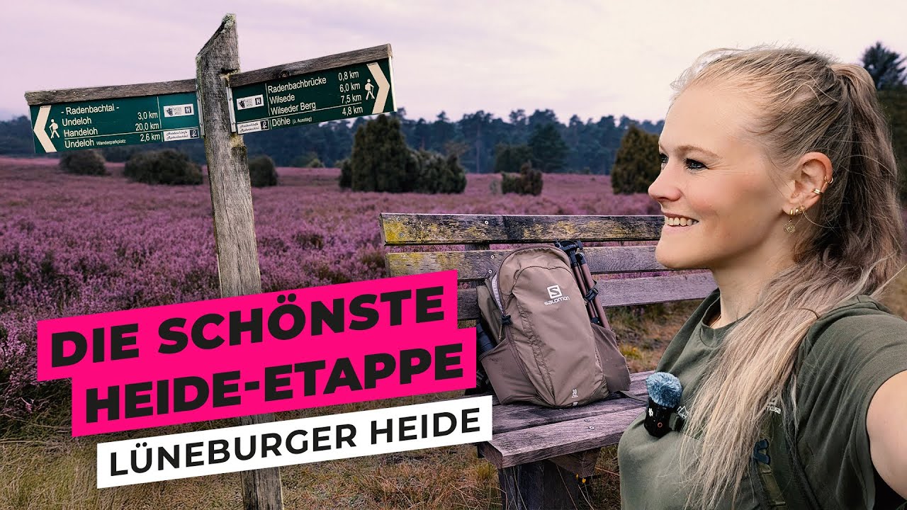 Heidschnuckenweg: Schönste Etappe – Lüneburger Heide | Solo Vanlife