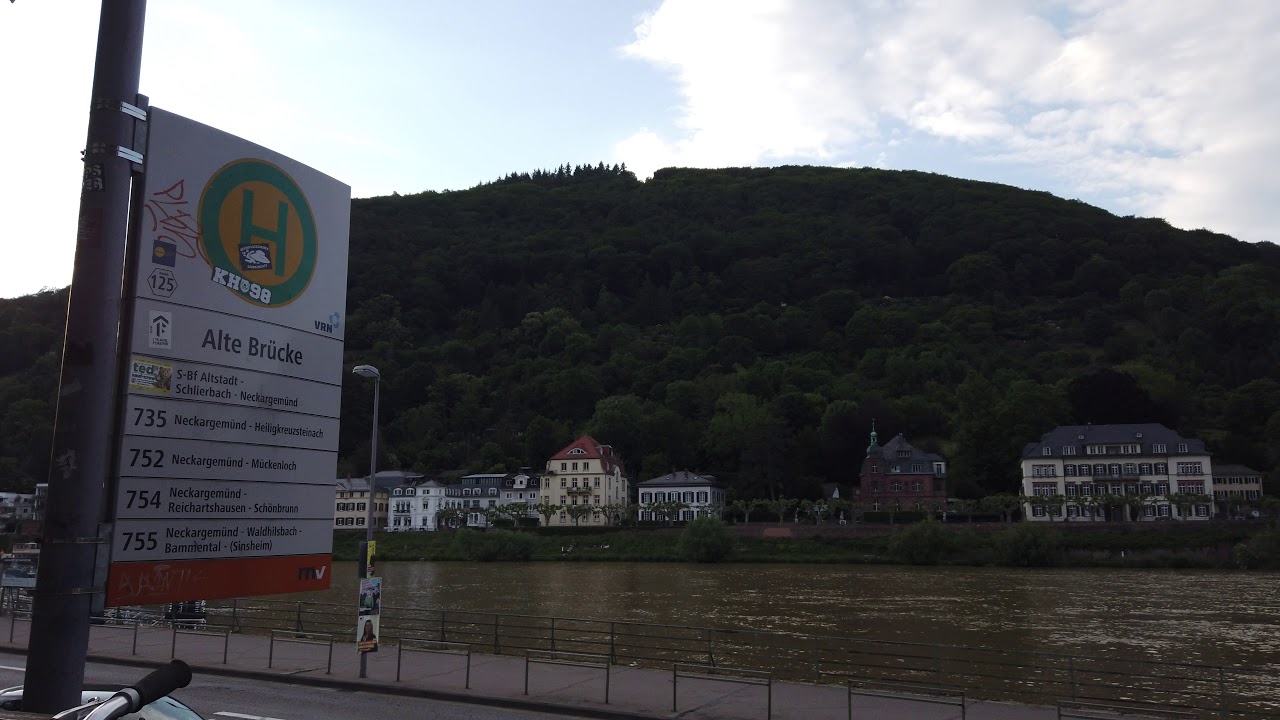 The Karl Theodor Bridge - Old Bridge (Alte Br&uuml;cke) - Heidelberg, GE