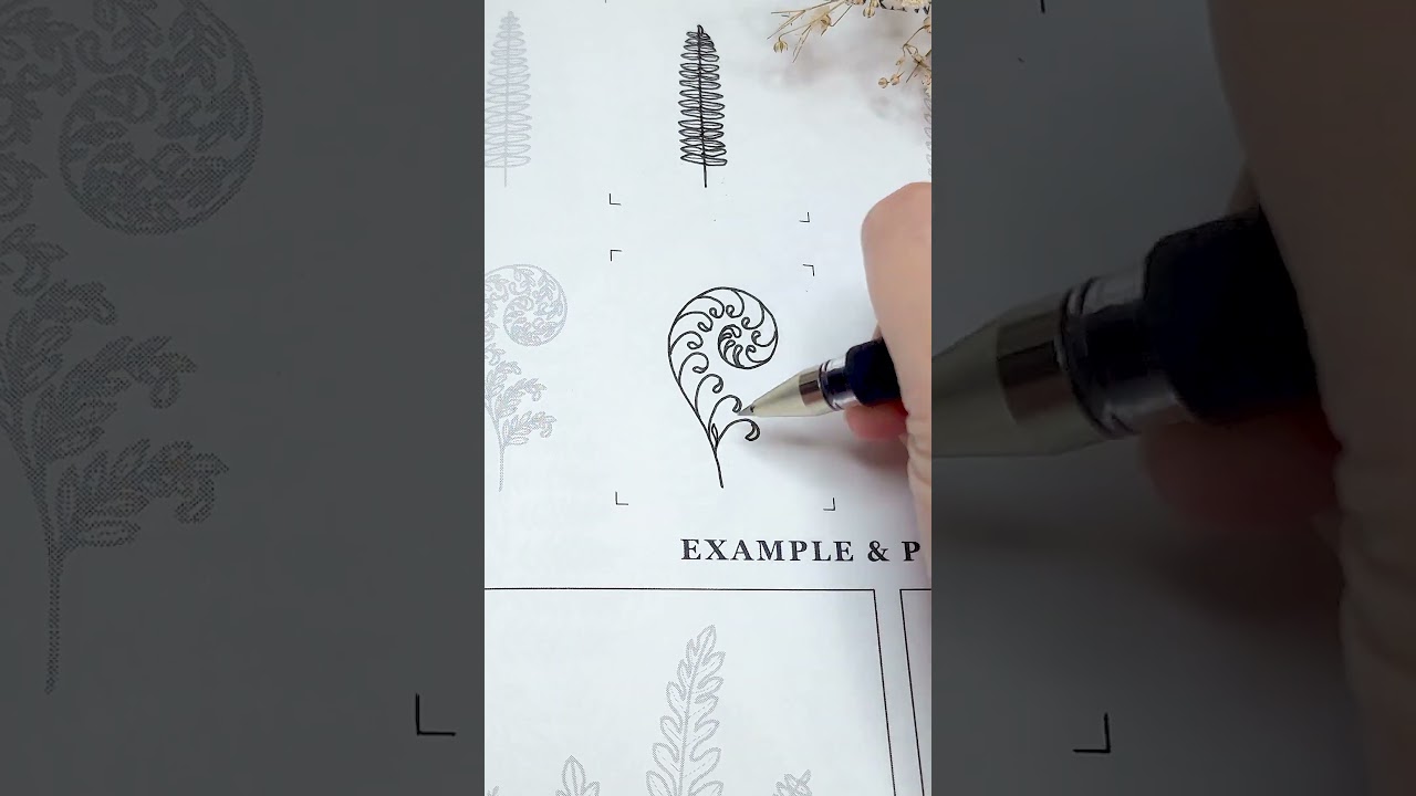 A curly fern, trying to make this an easy drawing for everyone.