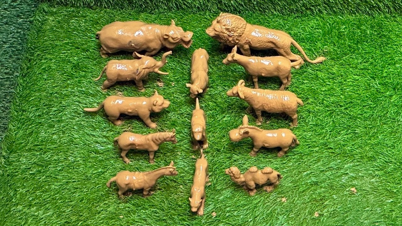 Animals in the Mud: Learning About Herbivores and Carnivores Animals for Kids