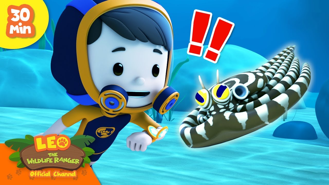 🐙 BEST IMPERSONATIONS!! 🪞 Mimic Octopus, Lyrebirds & more! | Leo the Wildlife Ranger | Kids Cartoons