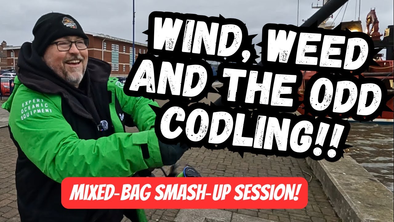 Blyth Harbour Gone Wild! - Northumberland - North East Sea Fishing