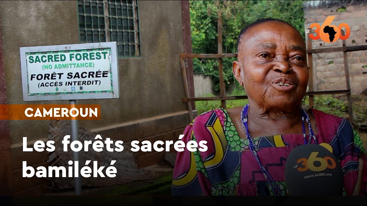 Cameroun : au cœur des forêts sacrées de la pure tradition bamiléké