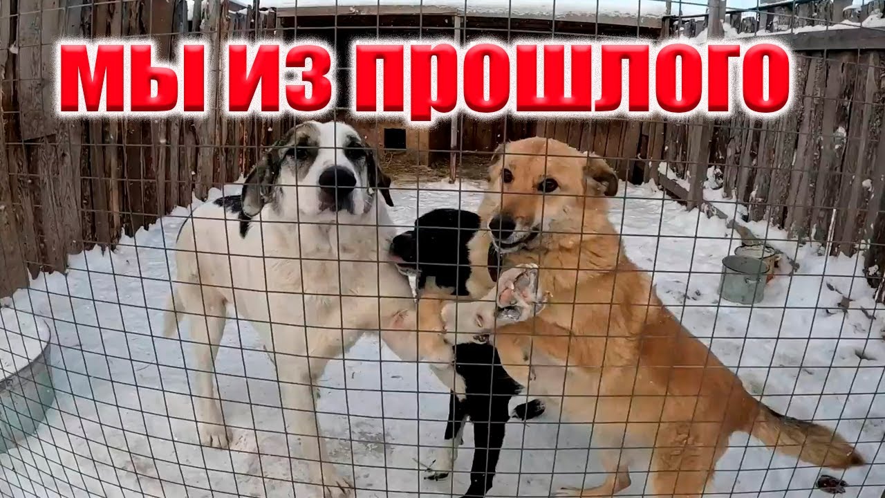 ТО, ЧТО НЕ ВЫШЛО В ПРОШЛОМ ГОДУ, НО АКТУАЛЬНО И СЕЙЧАС!!
