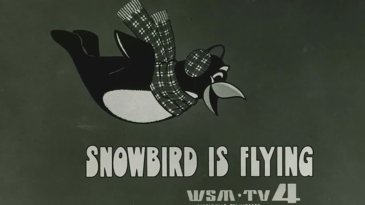 He is the bird with the word: Snowbird. Here&rsquo;s the iconic penguin&rsquo;s origin story