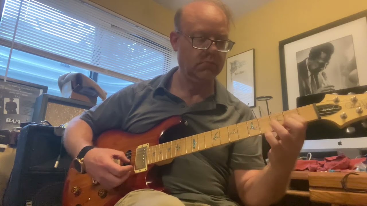 PRS SE Swamp Ash Sounds