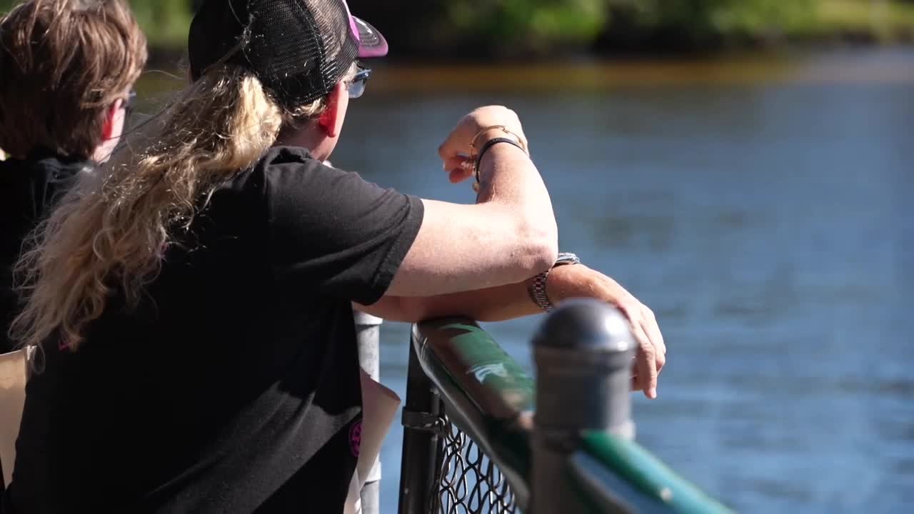 25 manatees reported dead in Lee County waters since Friday