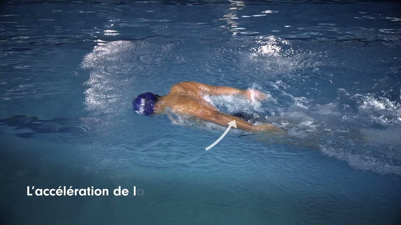 Tuto 12 : les bases techniques du papillon