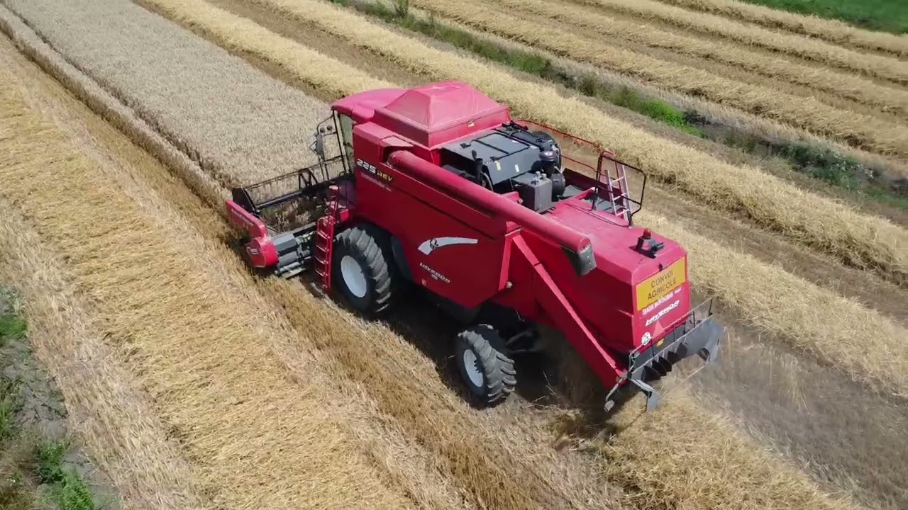 Laverda 225 REV | Wheat Harvest | Drone POV | un-edited footage